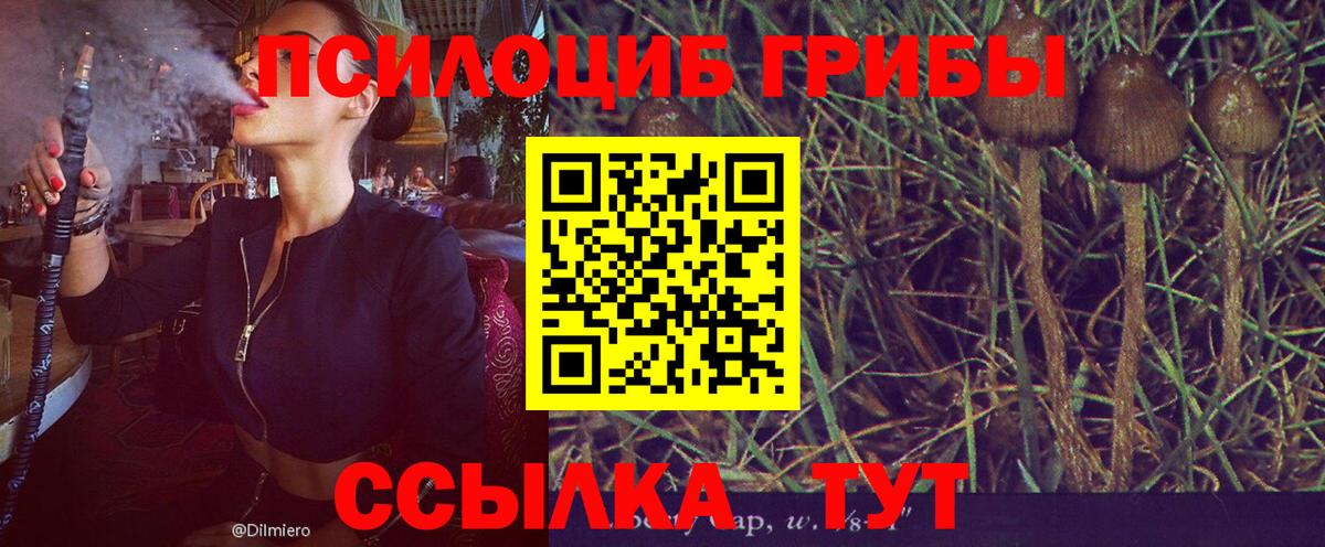 Галлюциногенные грибы мухоморы  дарнет шоп  Саранск  Вход с VPN 