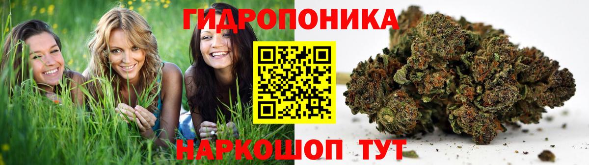 Саранск  Каннабис THC 21%  Вход с VPN  Шишки марихуана MAZAR 
